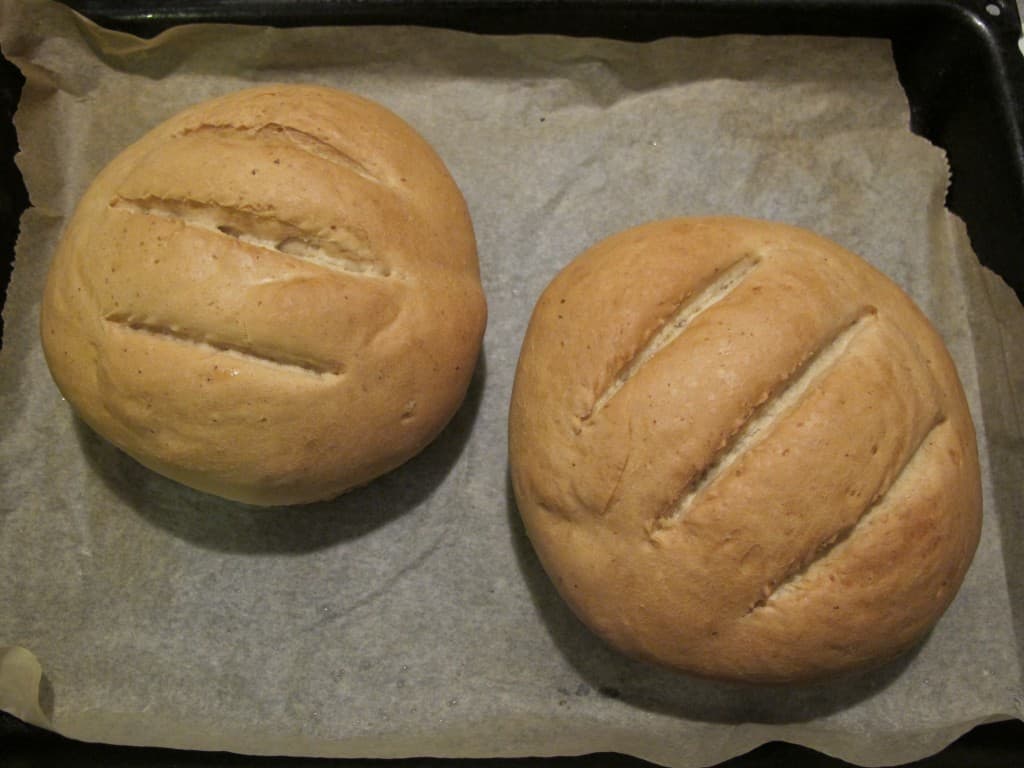 Spelt bread loaves Spelt bread loaves fresh out of the oven