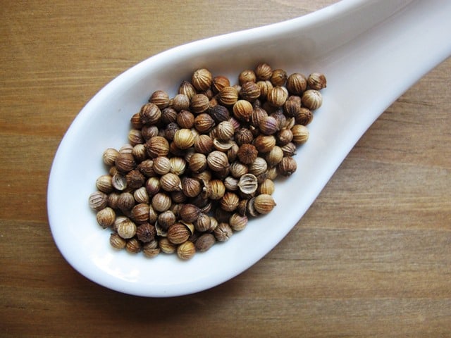 Coriander seeds