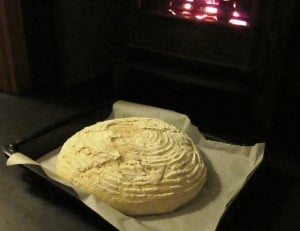 Sourdough bread in the proofing basket