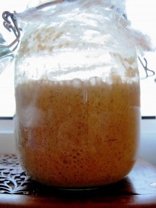 Active sourdough starter