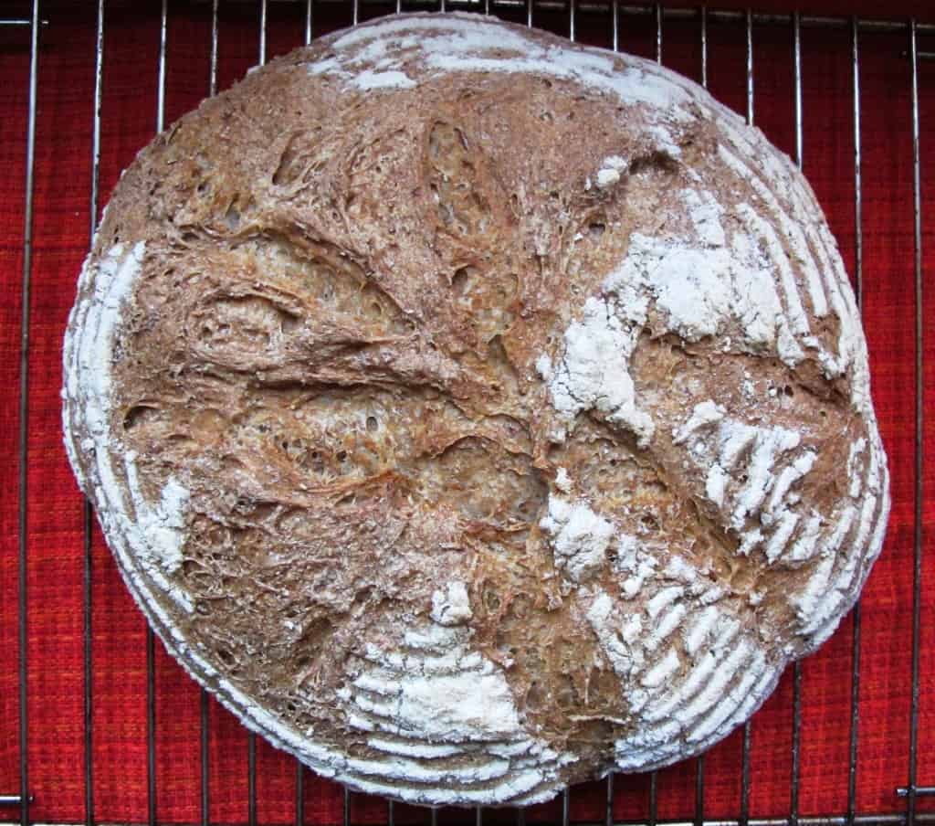 What a lovely loaf - bread 'infused' with rolled toasted oats