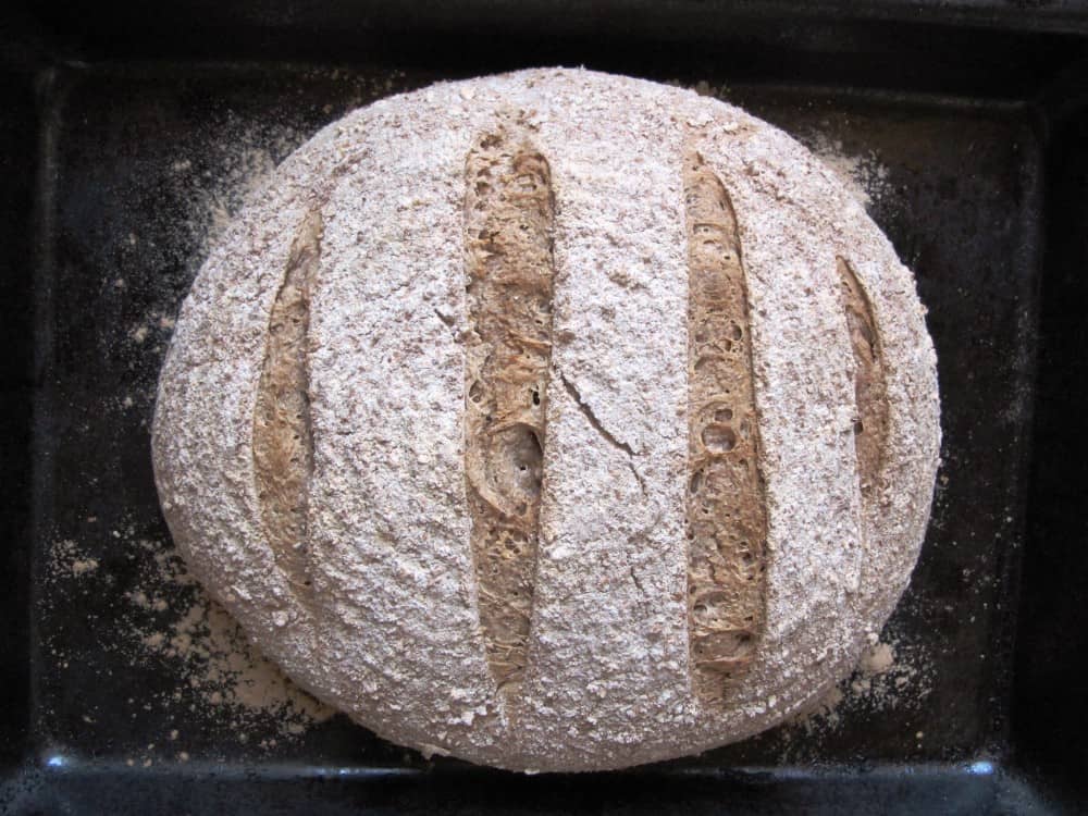 Pain de campagne on baking tray