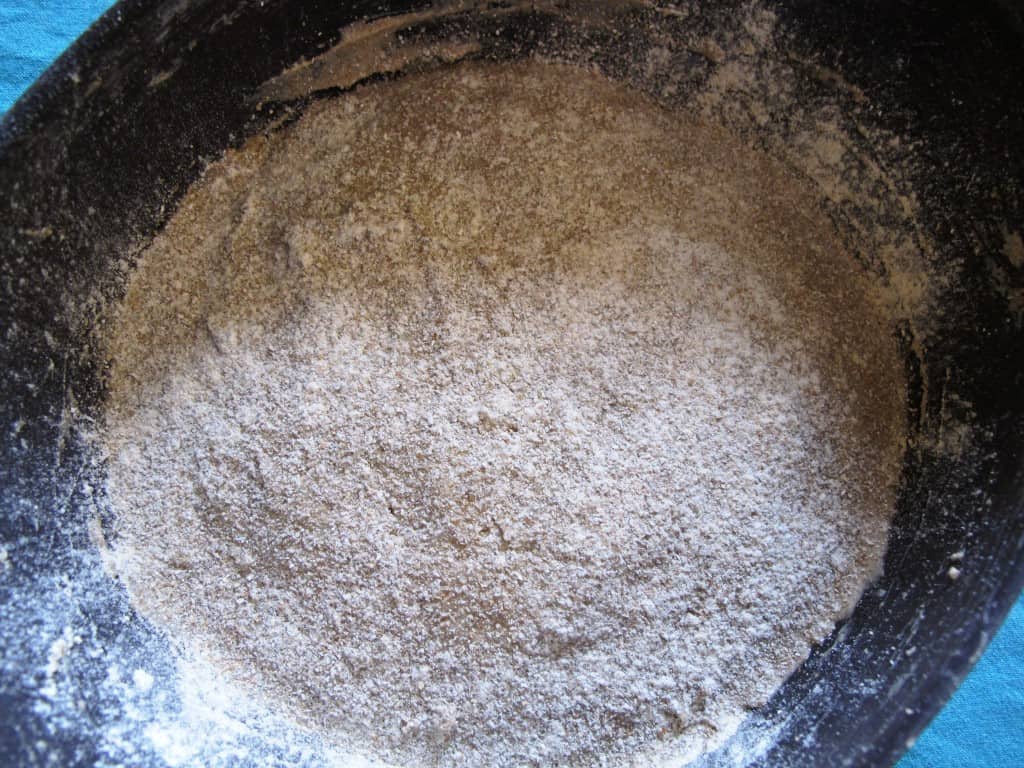 Lekue bread maker - mixed dough