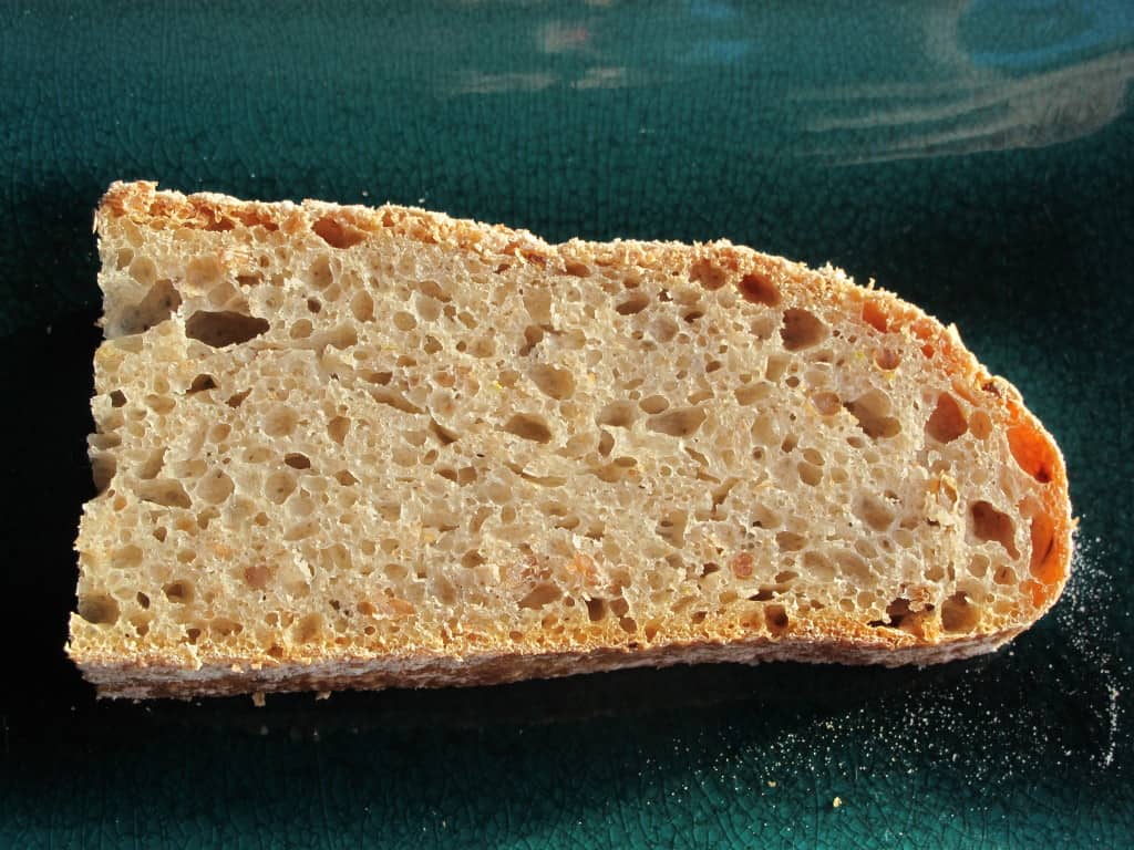 Slice of sprouted rye grain bread