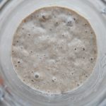 Rye sourdough starter recipe