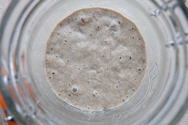 Rye sourdough starter recipe