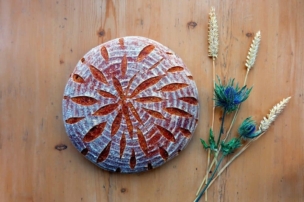 Buckwheat sourdough