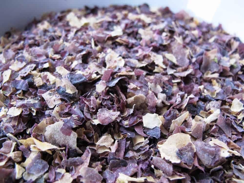 Dulse seaweed