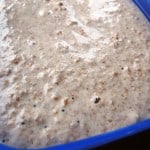 Wholemeal spelt flour sourdough starter