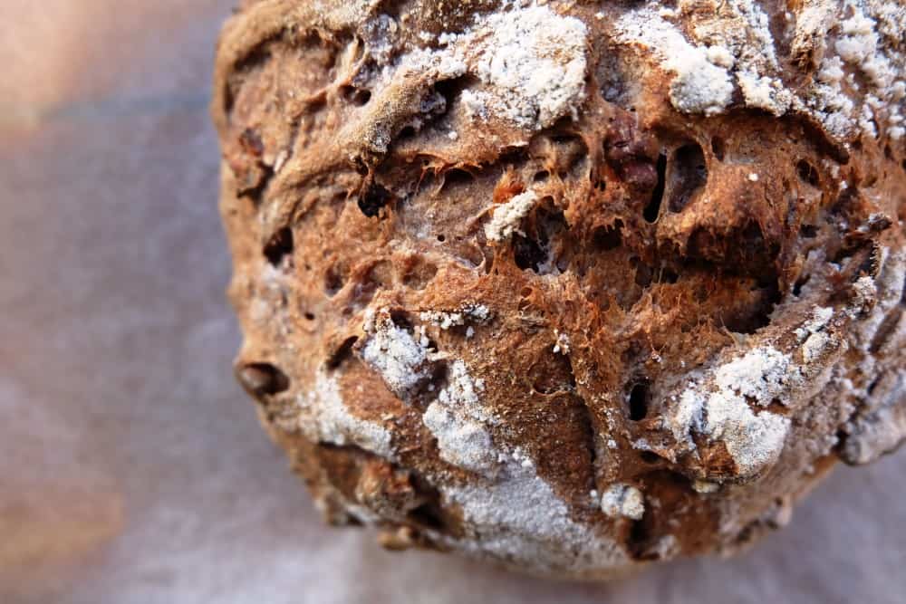 Parmesan, Date and Walnut Bread