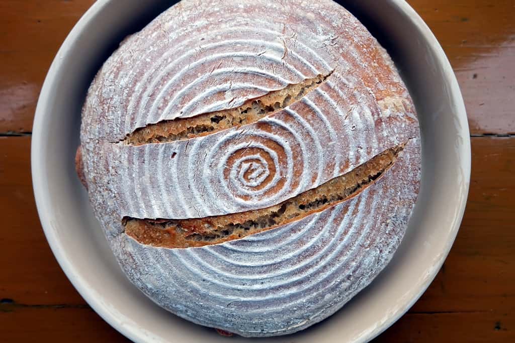 Weeknight Semolina Bread baked in a cloche - Bread Experience