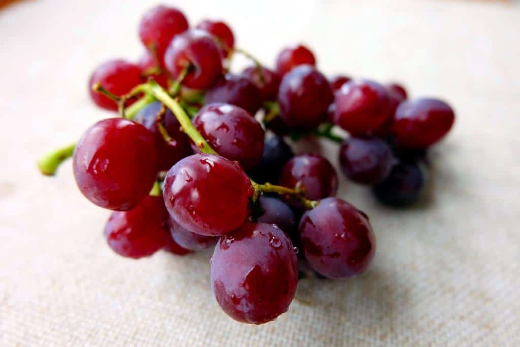 Sweet red seedless grapes
