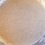 Wheat sourdough starter