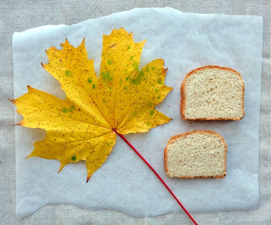 Zwieback Crackers Recipe - The Bread She Bakes