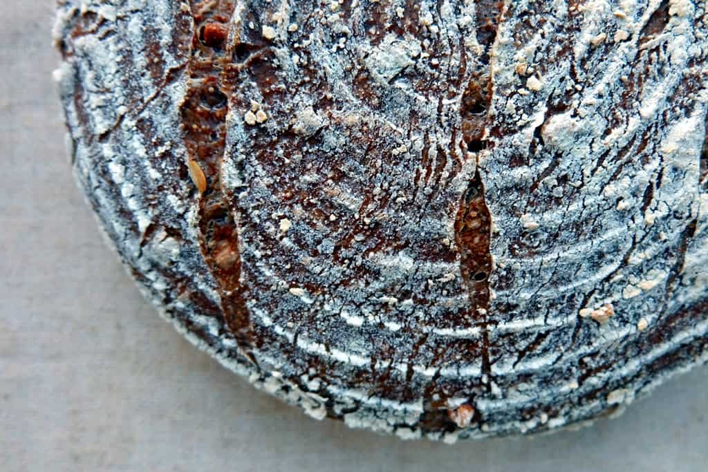 Amaranth bread recipe
