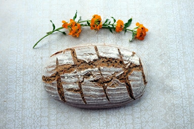 Caraway Seed Bread Recipe (Rye Bread) The Bread She Bakes