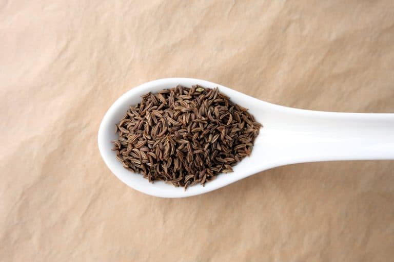 Caraway Seed Bread Recipe (Rye Bread) The Bread She Bakes