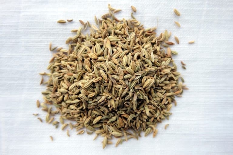 Fennel Seed Bread Recipe The Bread She Bakes