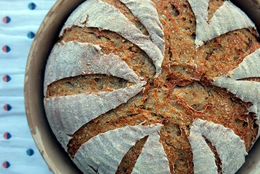 Brod & Taylor Sourdough Home Review